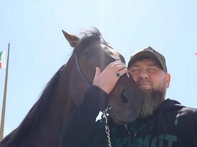 Kadyrov kon