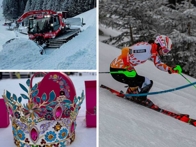 jasná, shiffrinová, vlhová