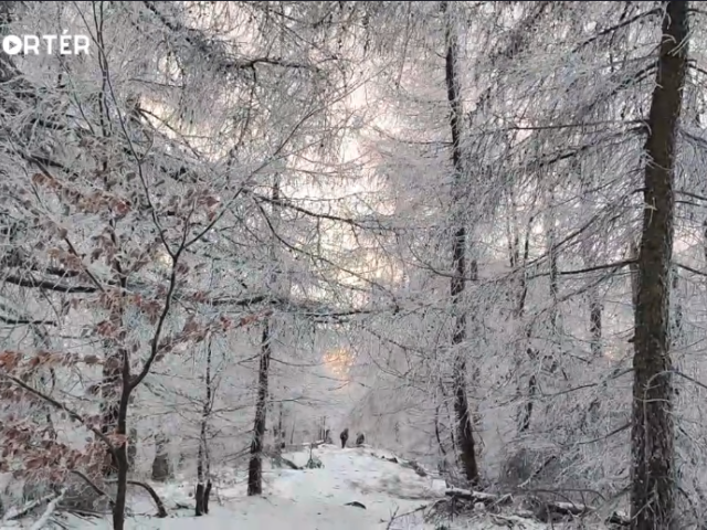 Vrch Skalnatá, Malé Karpaty, mReportér