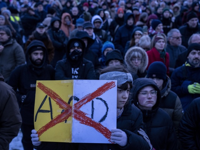 Alternatíva pre Nemecko / AfD /