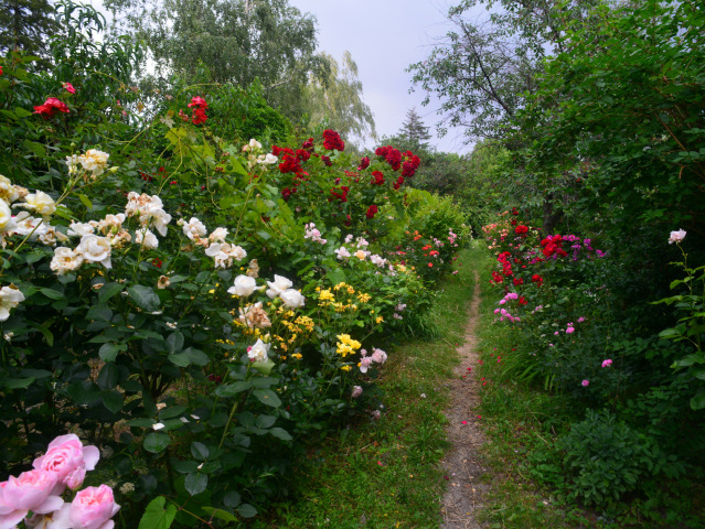 Záhradky (Vyvolávanie)