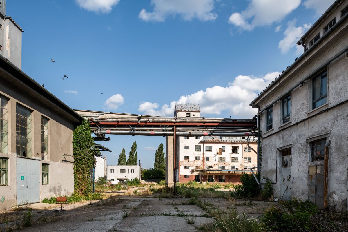 brownfield Palma