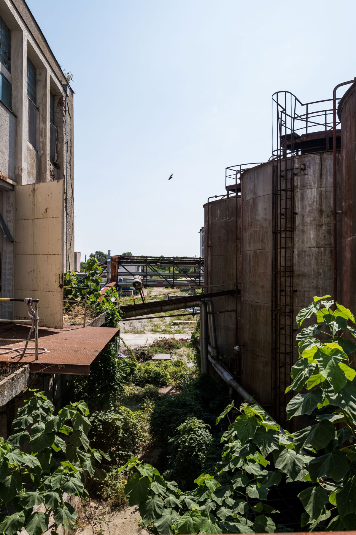 brownfield Palma