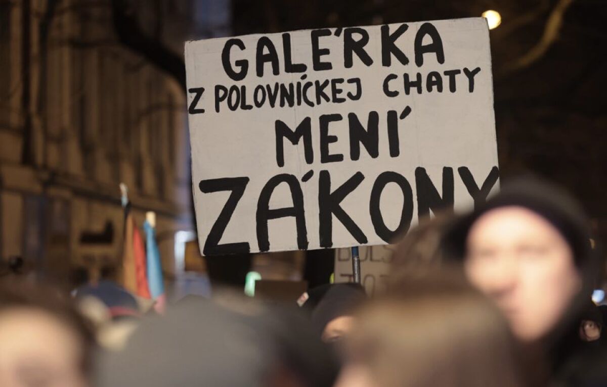 Protest / Demonštrácia /