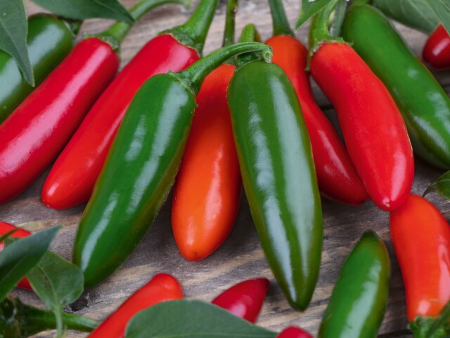 jalapeño, jalapeno