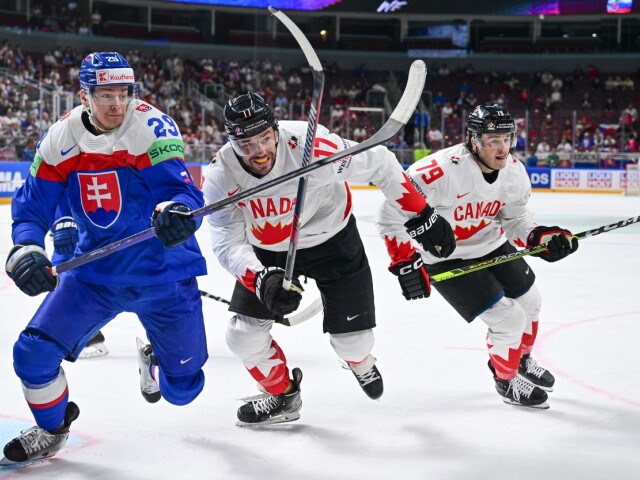 Michal ivan hokej lucic