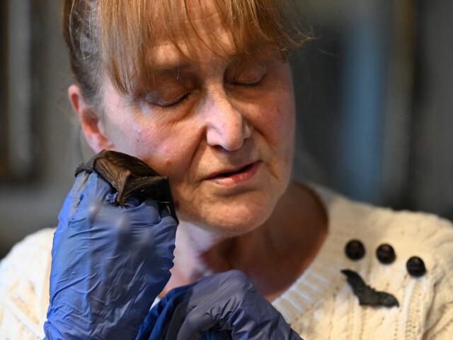 Barbara Górecká