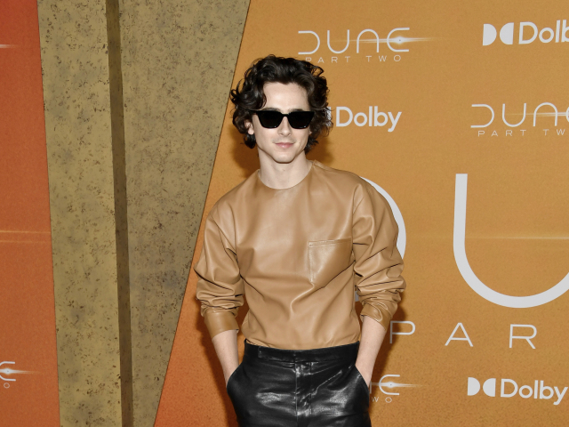 Herec Timothee Chalamet v kreácii Prada. 