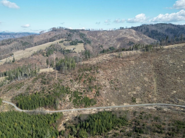 kalamita, Čierny Balog