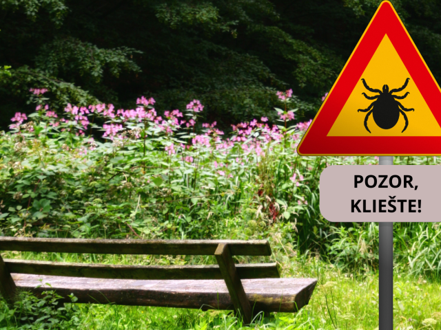 kliešť, kliešte
