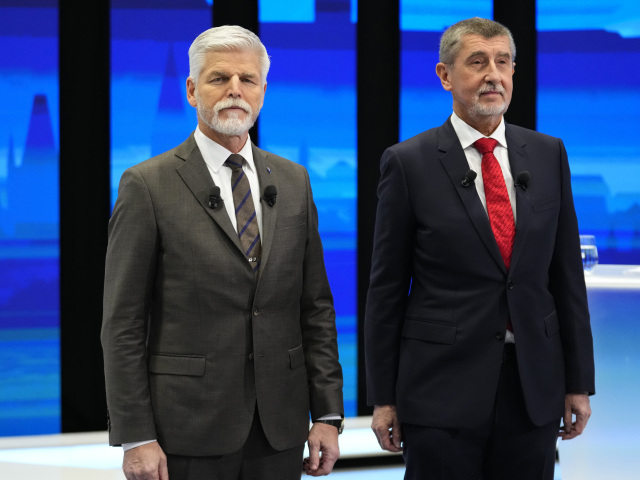 Babiš, Pavel