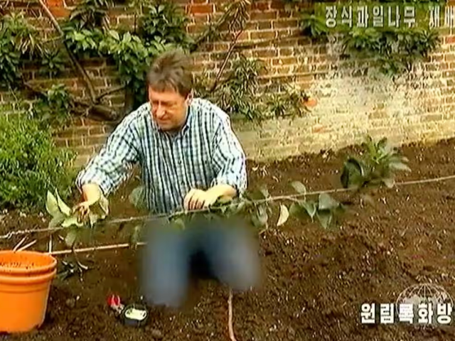 BBC Tajomné záhrady