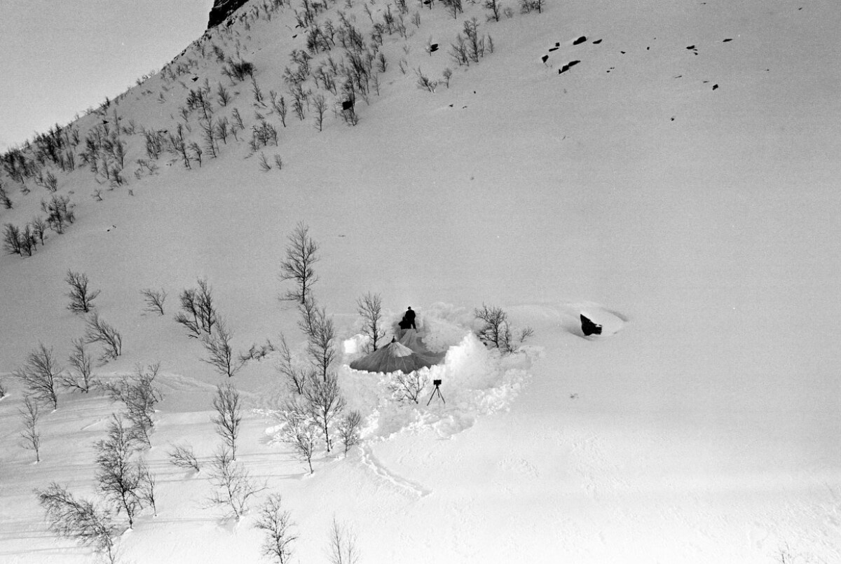 1978-snapshots-album