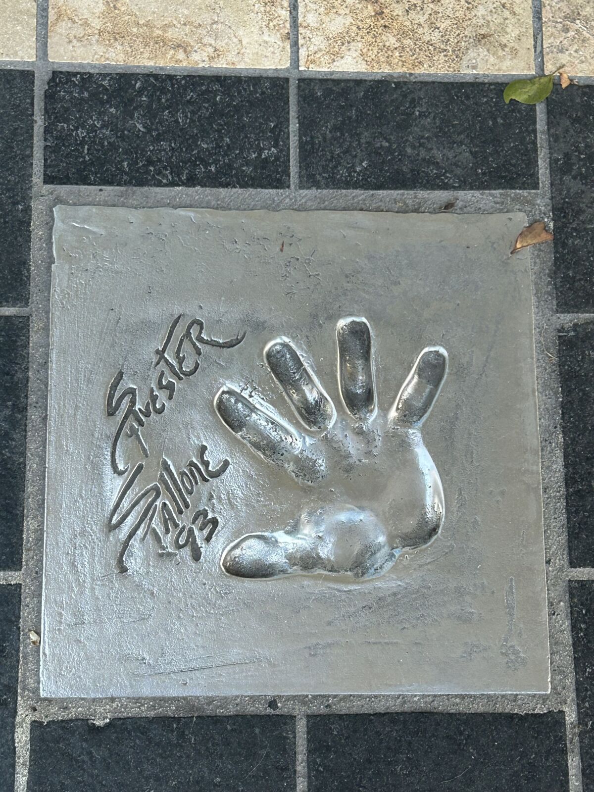 Sylvester Stallone, Cannes