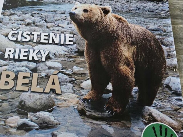 čistenie, rieka, Belá, mReportér