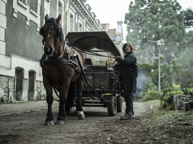 walking dead, daryl dixon,