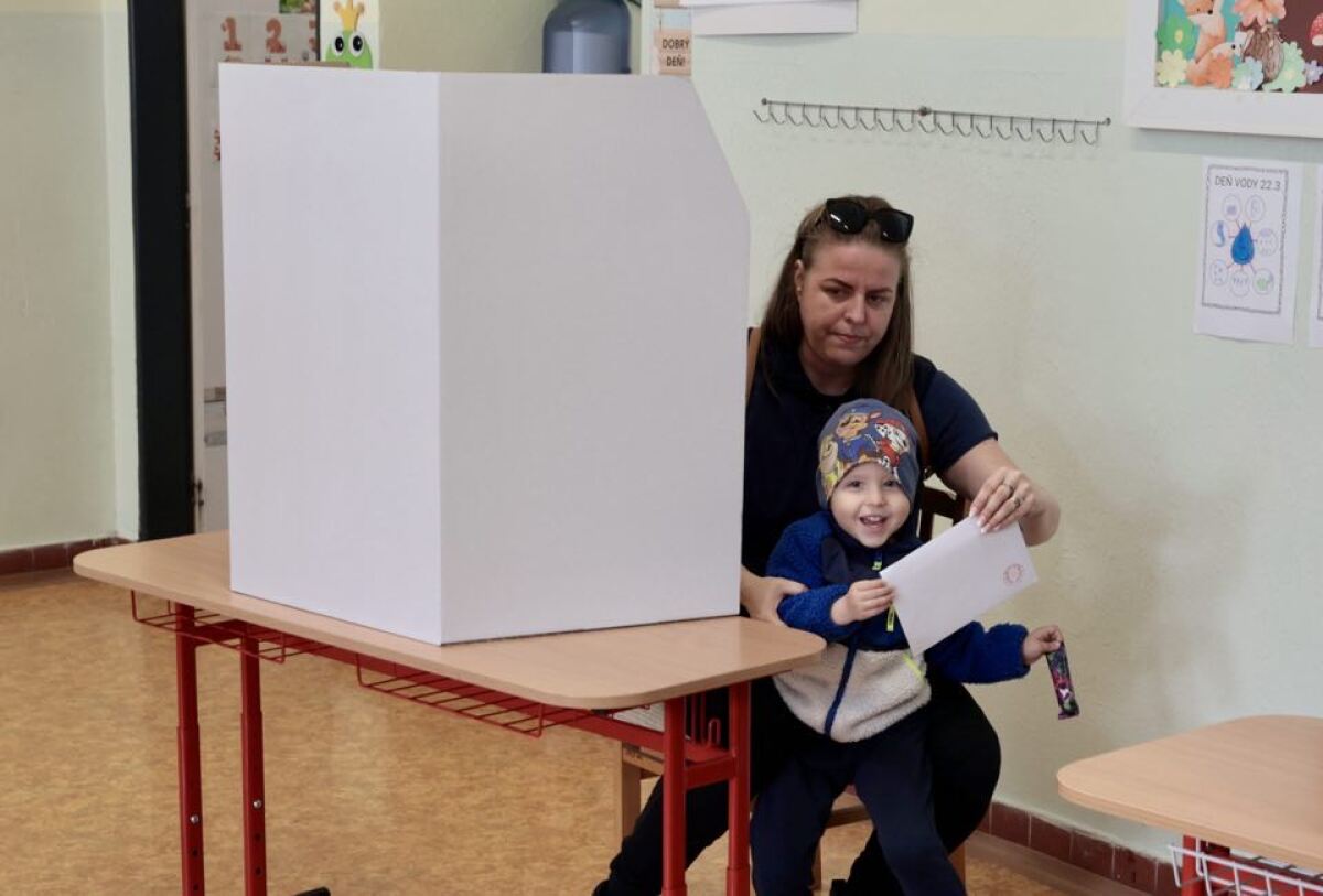 Voľby 2024