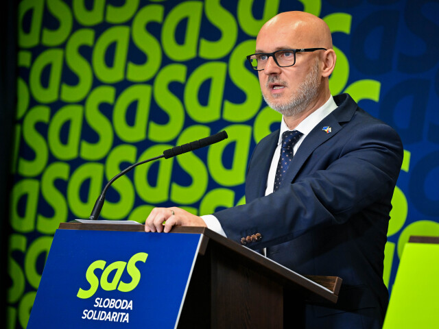 Branislav Gröhling, SaS