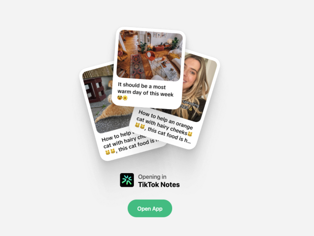 TikTok, TikTok Notes, sociálna sieť