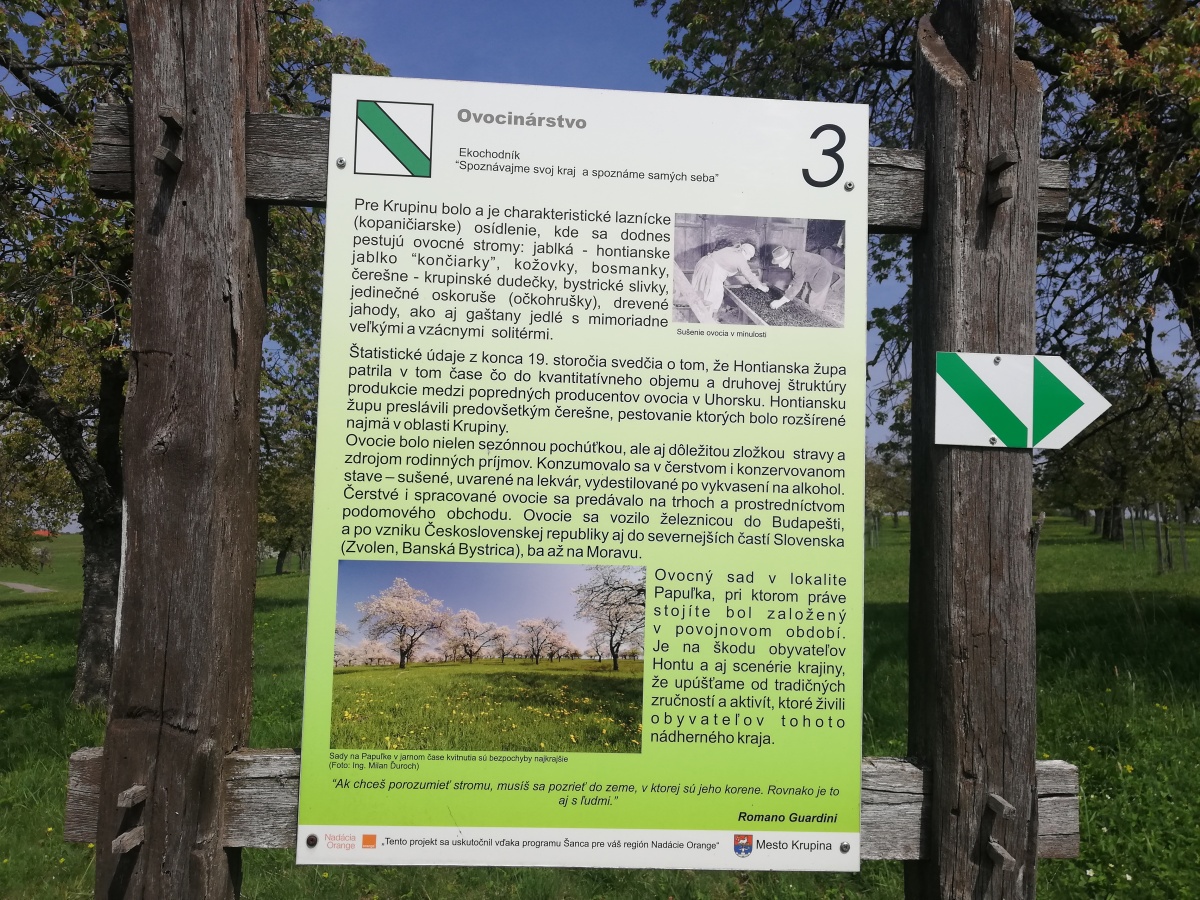 tabuľa, čerešňový sad, Krupina