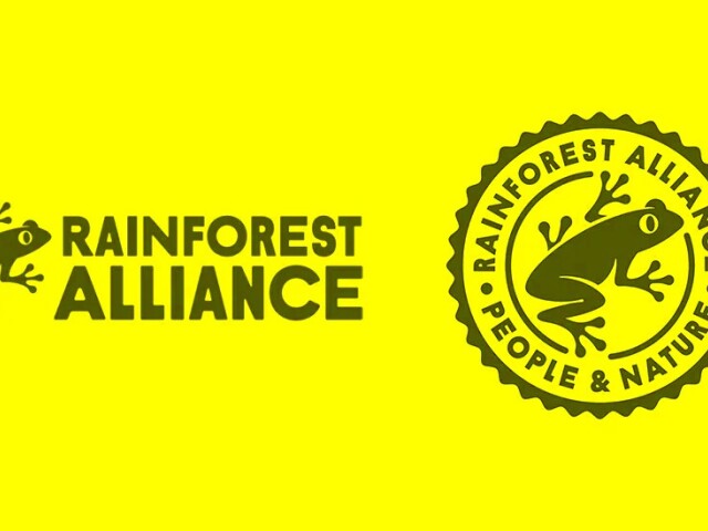 rainforest alliance