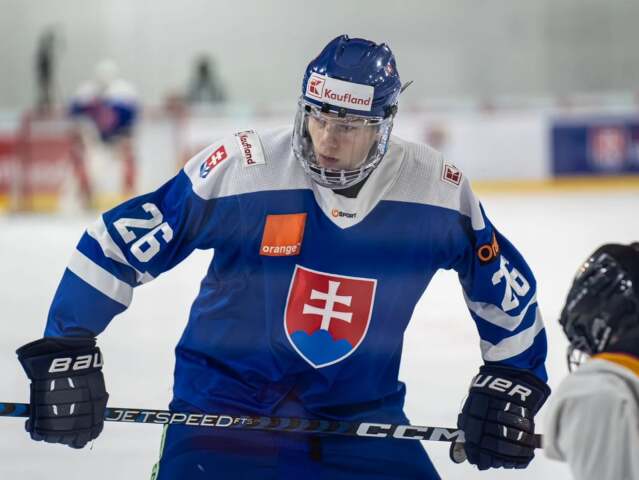 Miroslav Šatan mladší