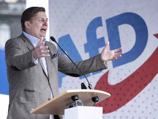 Maximilian Krah, Nemecko, AfD, eurovoľby