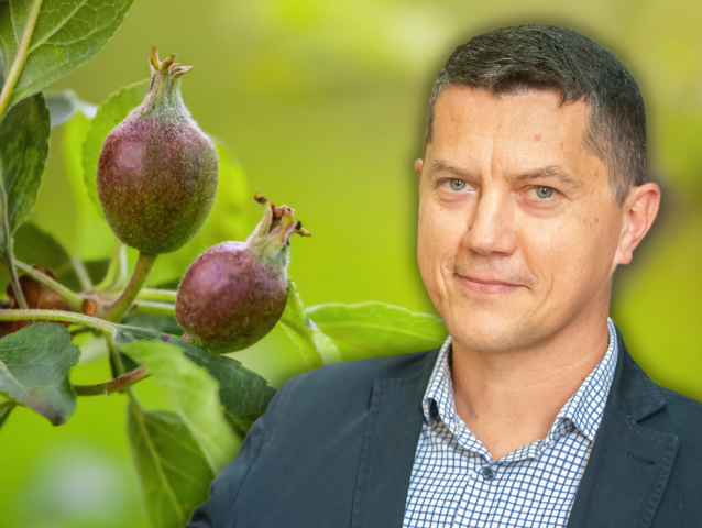 Peter Molda, ovocinár