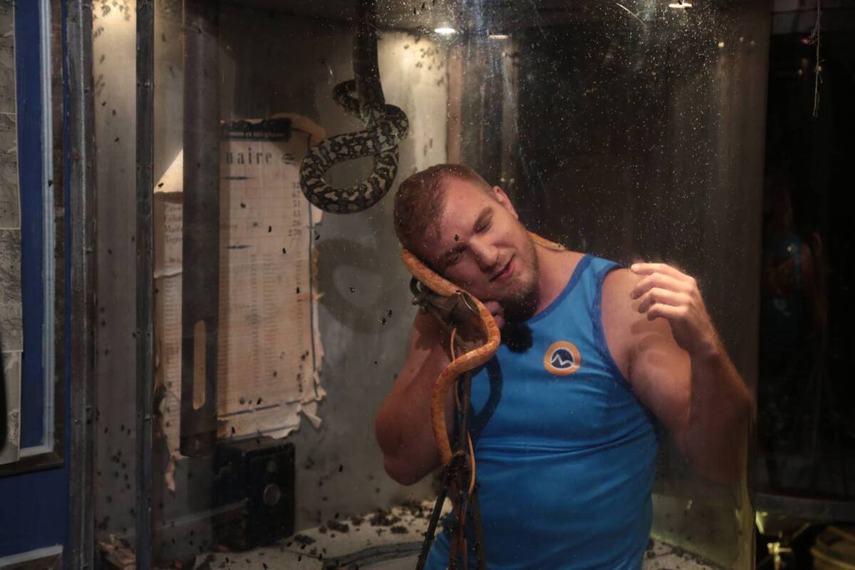 Pevnosť Boyard
