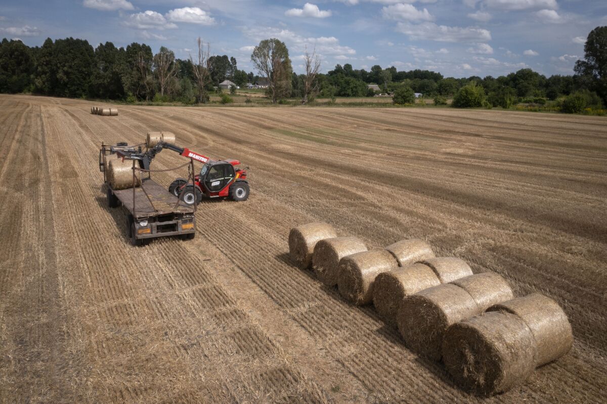 Russia Ukraine War Struggling Farmer