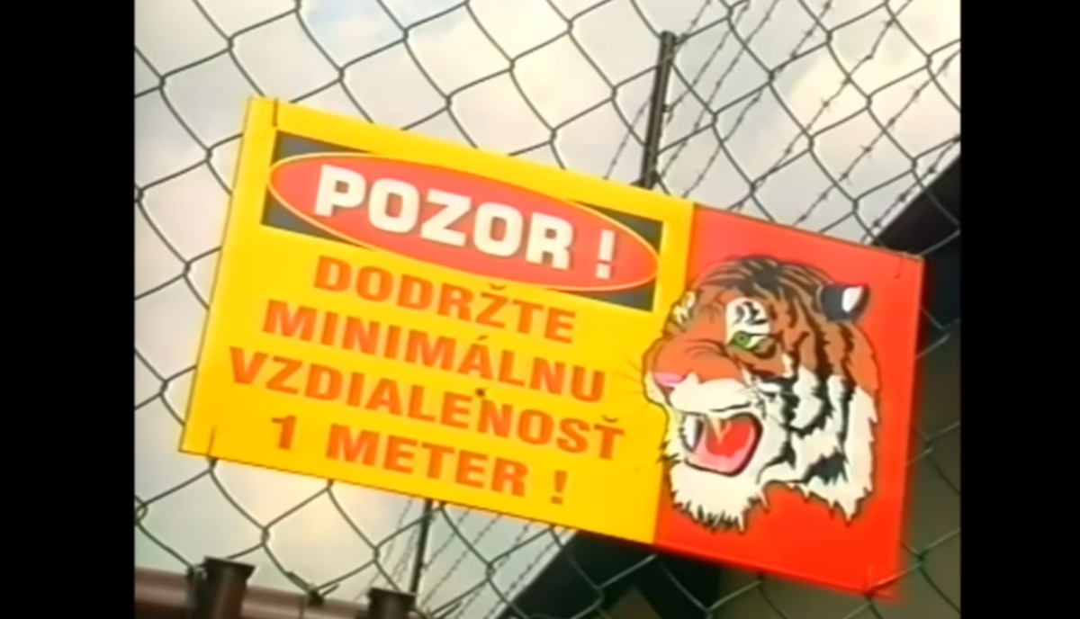 Mikuláš Černák, tigre