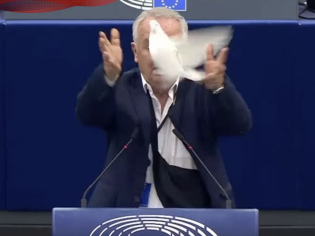 europoslanec Radačovský