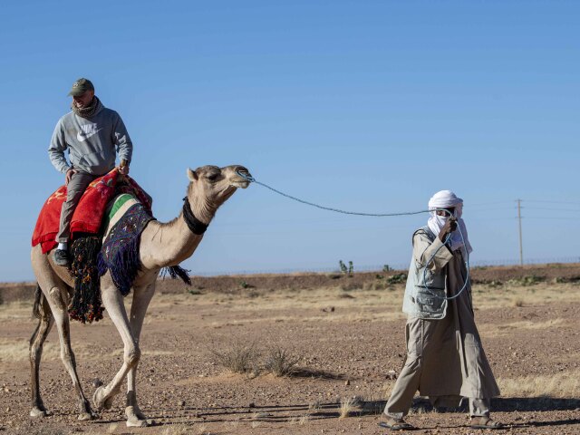 US Africa Command Niger camel
