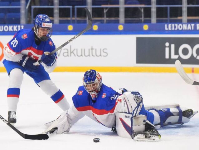 Slovensko hokej MS 18