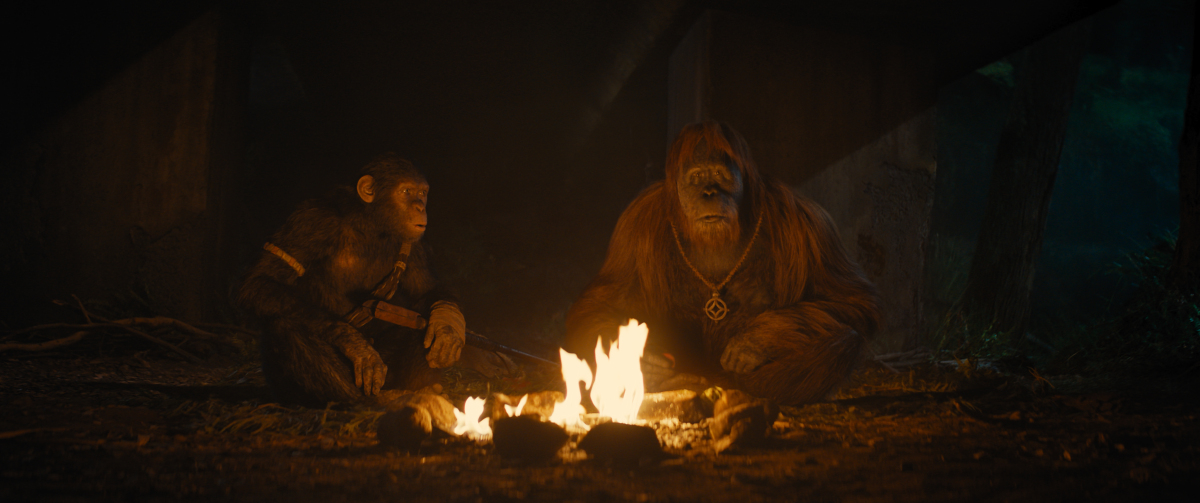 Kráľovstvo planéty opíc