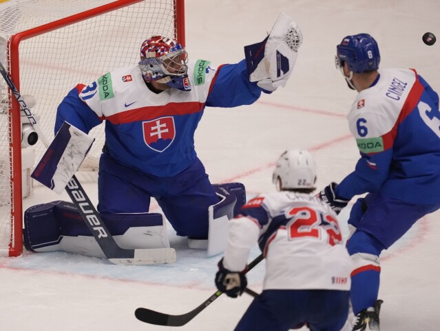 slovenskí hokejisti