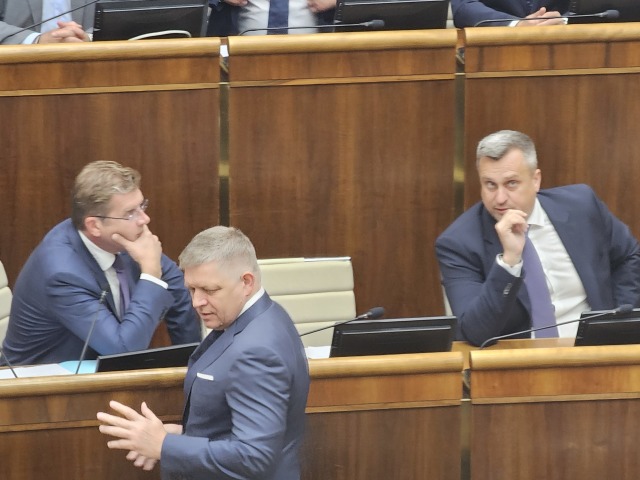 danko, žiga, fico