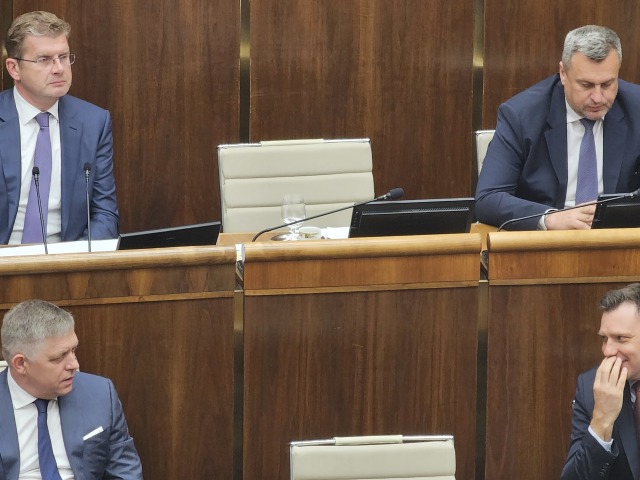 fico, žiga, danko, taraba