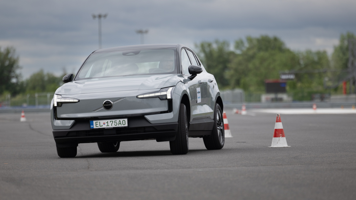 Import Motion 2024