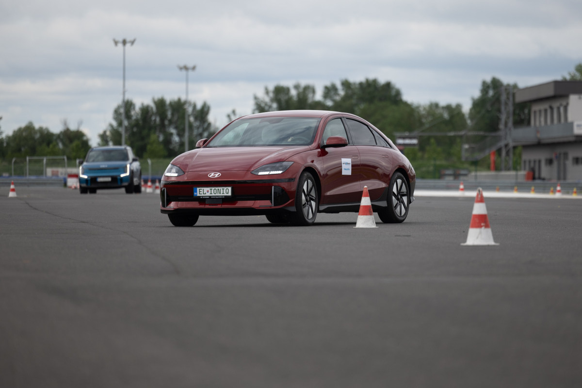 Import Motion 2024