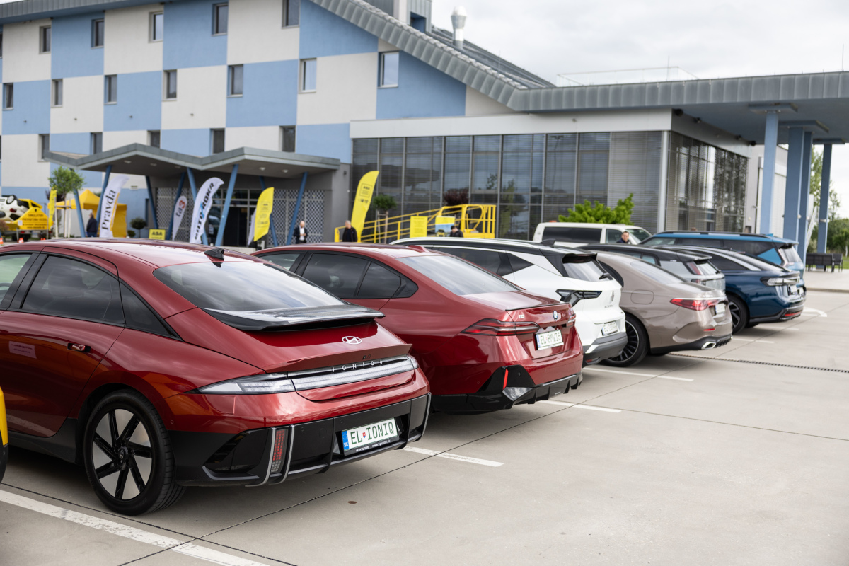 Import Motion 2024