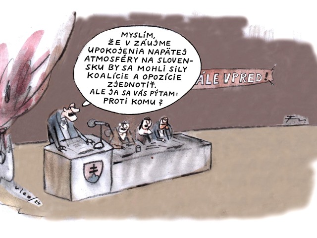 Vico zjednotenie