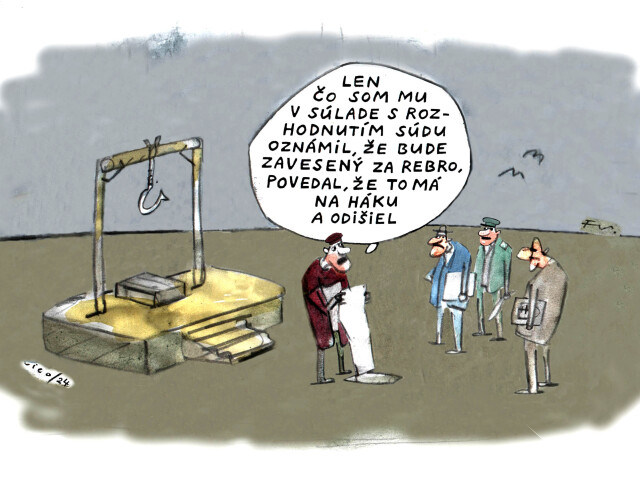 VICO, 22.05.2024