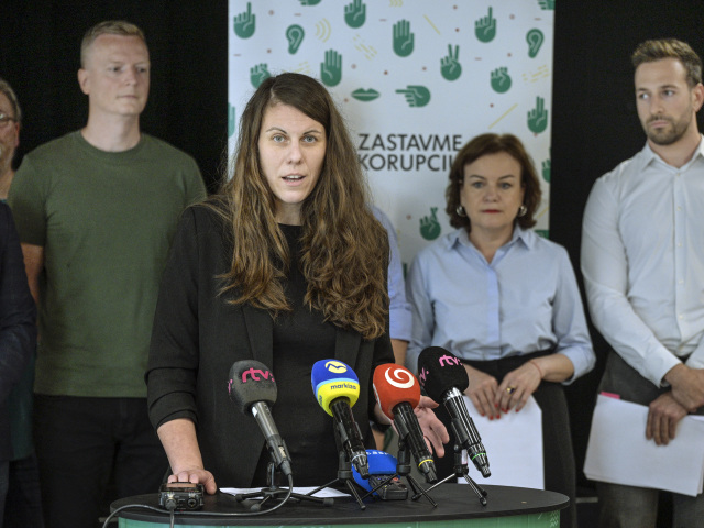 mimovládky, petková, batková,