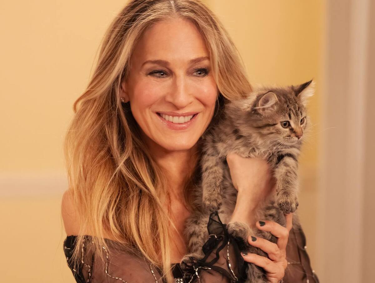 sarah jessica parker, sex v meste, ako to bolo ďalej,