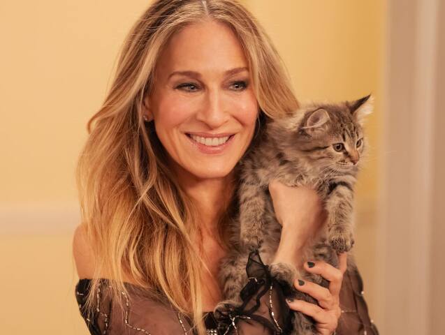 sarah jessica parker, sex v meste, ako to bolo ďalej,