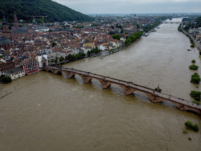 Neckar / Heidelberg /