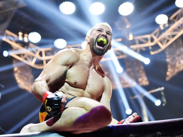 végh 2019
