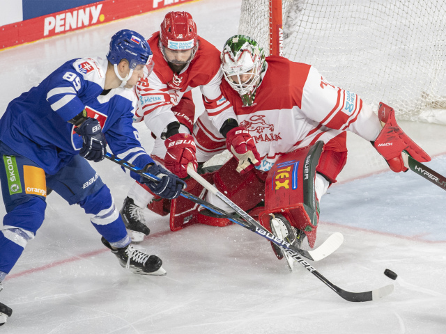 Nemecko SR Krefeld hokej šport NP Slovensko Dánsko