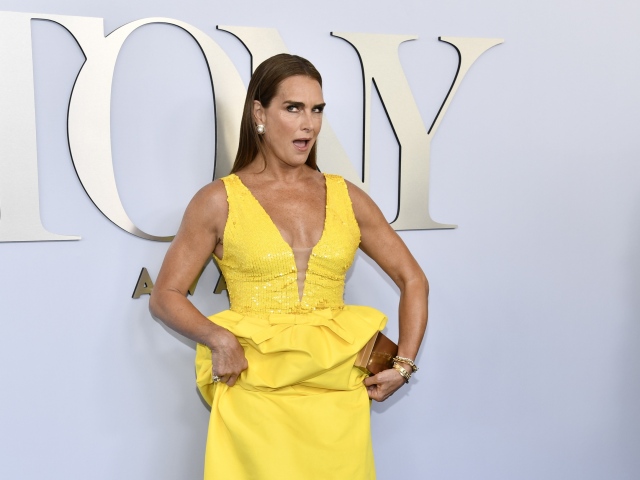 Brooke Shields ku šatám od Monique Lhuillierovej 